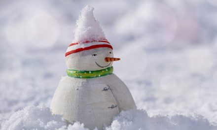 Els bacteris de la neu