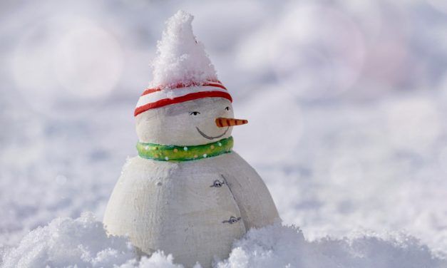 Els bacteris de la neu