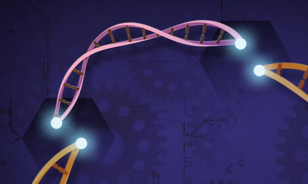 La tecnologia CRISPR/Cas9