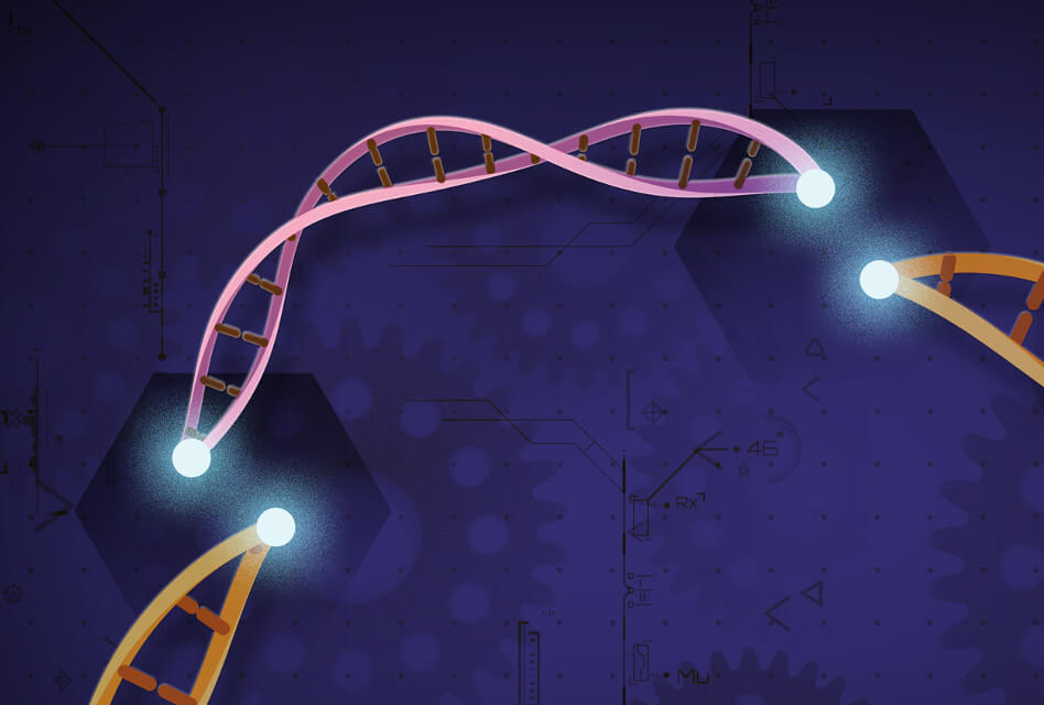 La tecnologia CRISPR/Cas9<span class="wtr-time-wrap block after-title"><span class="wtr-time-number">4</span> min de lectura</span>