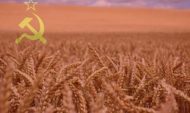 La genètica a l’URSS i les al·lopoliploïdies