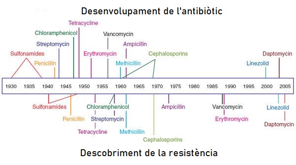 Antibiotics