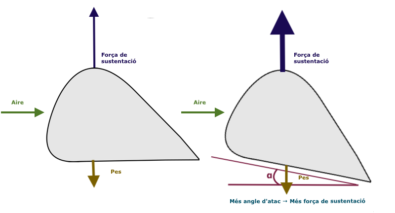 Angle d'atac