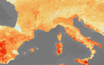 Als inicis d’un estiu ben calorós