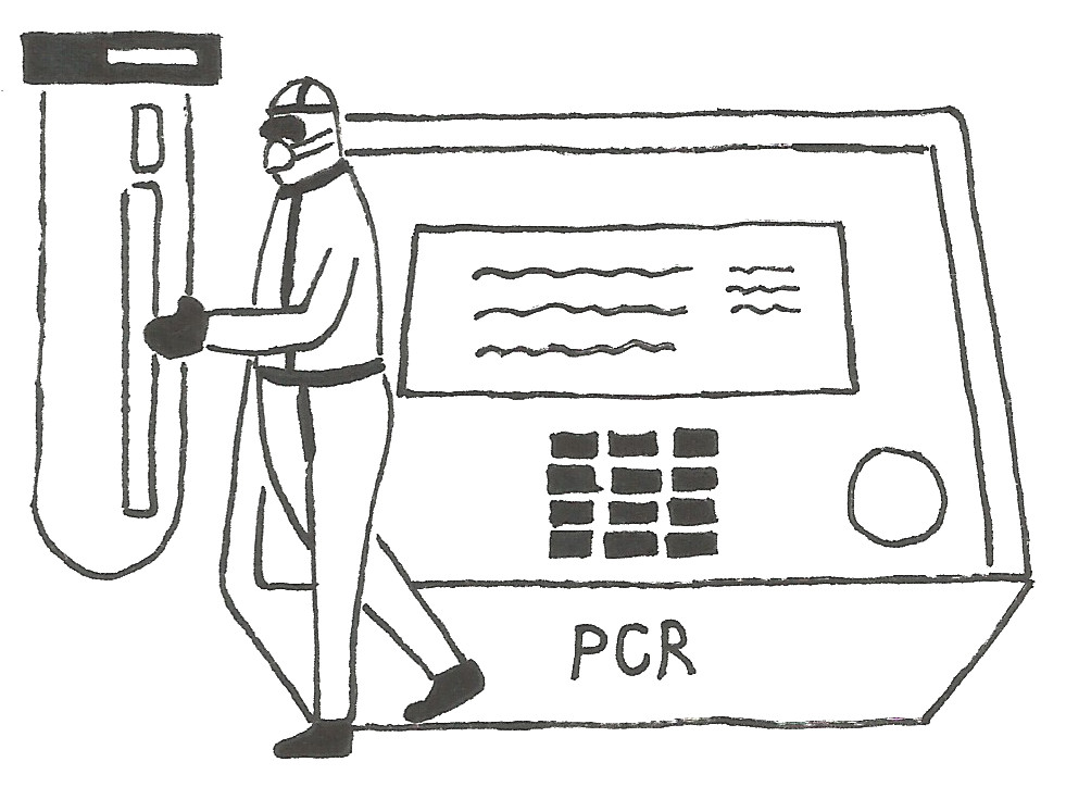 PCR