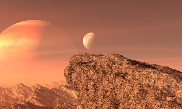 L’estructura bàsica de la vida