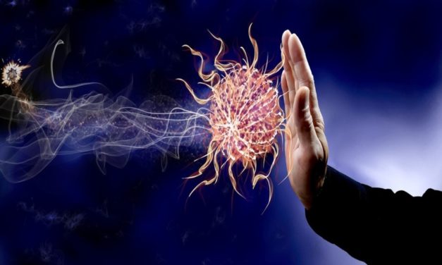 L’impacte humà a la natura i la pandèmia