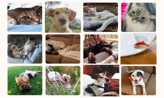 La veritat dels nostres animals de companyia