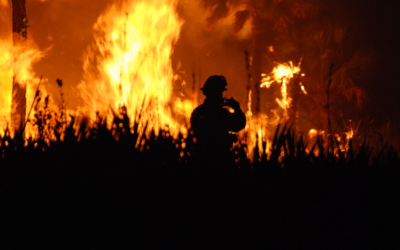 Tot allò que has de saber sobre els incendis forestals