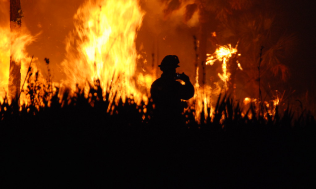 Tot allò que has de saber sobre els incendis forestals