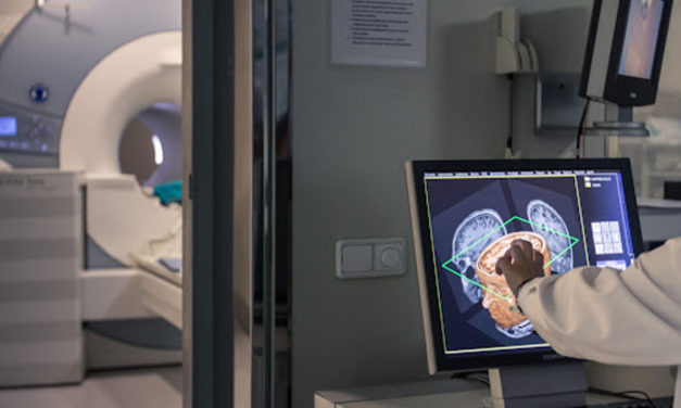 Entenent la memòria i l’envelliment del cervell a l’Institut de Neurociències de la UB