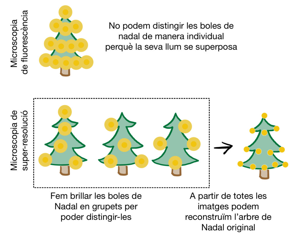 Microscopi de super-resolució