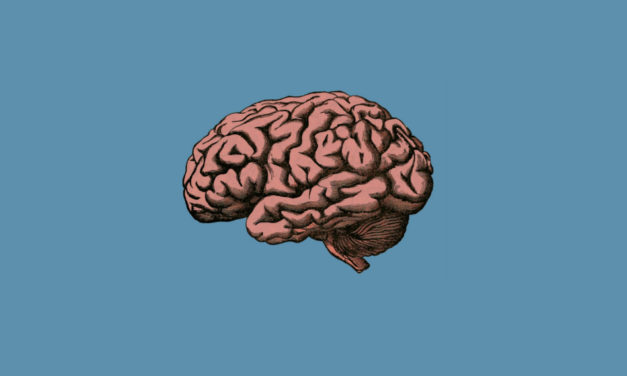 Objectiu: el cervell