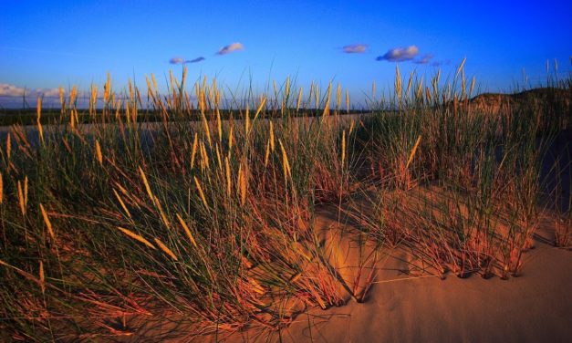 Els fluids que no va descriure Newton