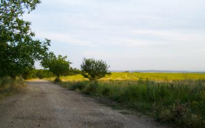 5 voluntariats ambientals pel cap de setmana