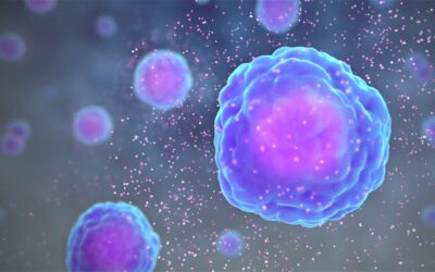 Entrenar el sistema immunitari per combatre el càncer: la immunoteràpia CAR-T