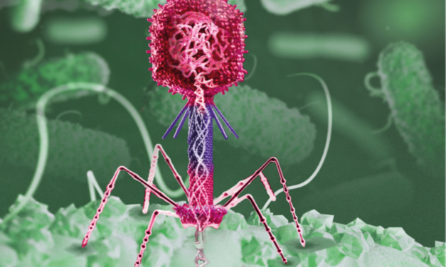 Bacteriòfags – Virus com a eines terapèutiques