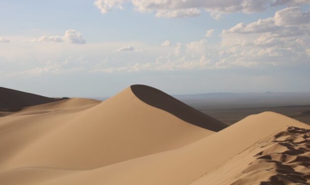 La cançó del desert