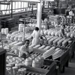 La fàbrica de la sang: La Medul·la Òssia
