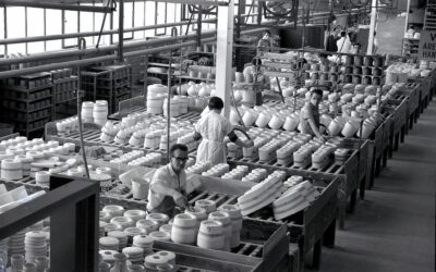 La fàbrica de la sang: La Medul·la Òssia