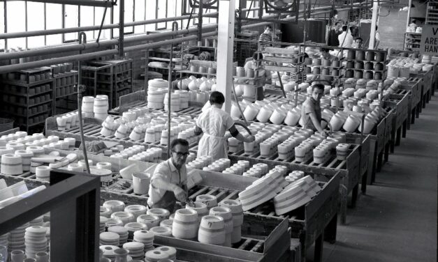 La fàbrica de la sang: La Medul·la Òssia